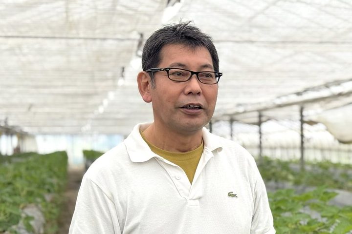 吉見町・いちごの里よしみ観光協会