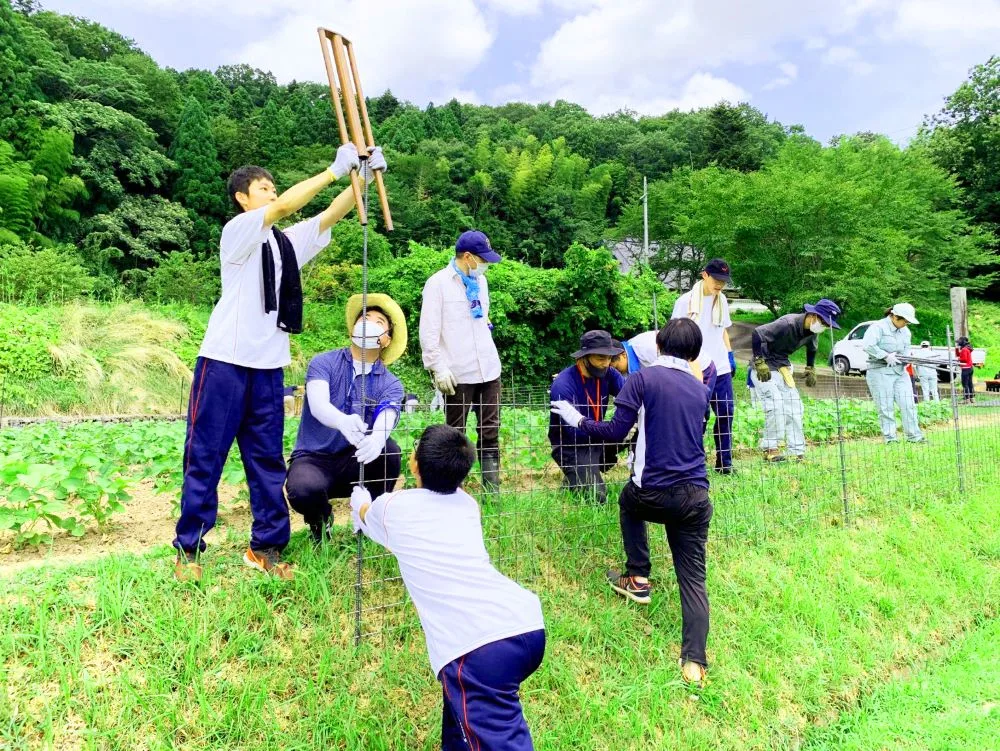 畑のまわりに防護柵を立てる参加者たち