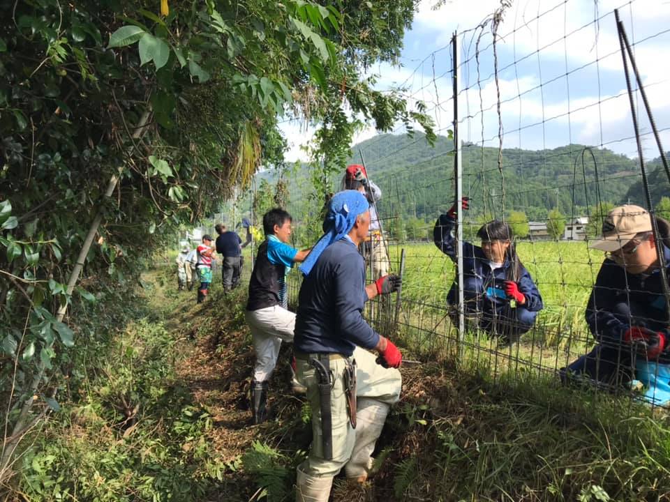 里山の田んぼで、防護柵の点検・補修に取り組む参加者たち
