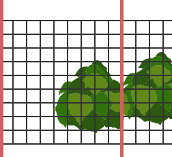 PROGRAM