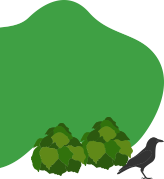 ⿃獣被害対策の関わり⽅