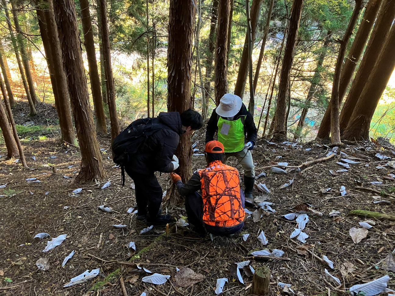 郡上里山株式会社はこんな取組内容を行っています!