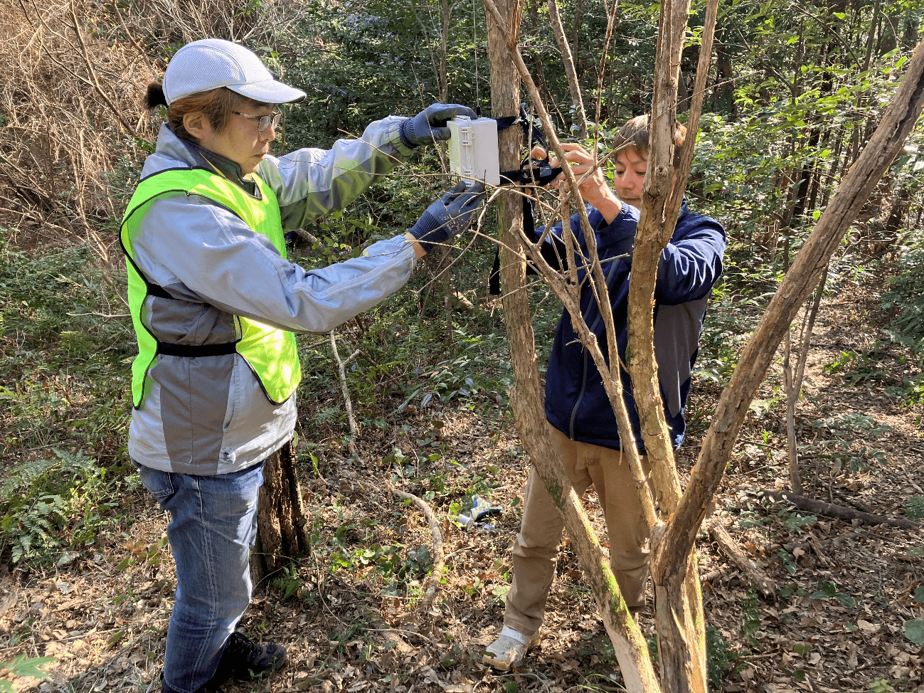 里山問題研究所はこんな取組内容を行っています！