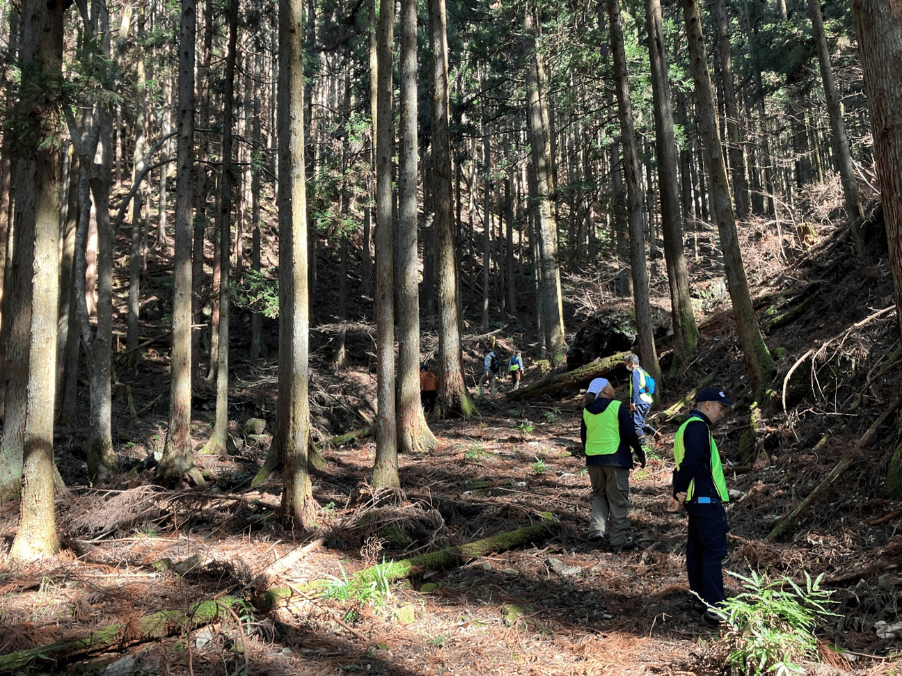 里山問題研究所はこんな取組内容を行っています！