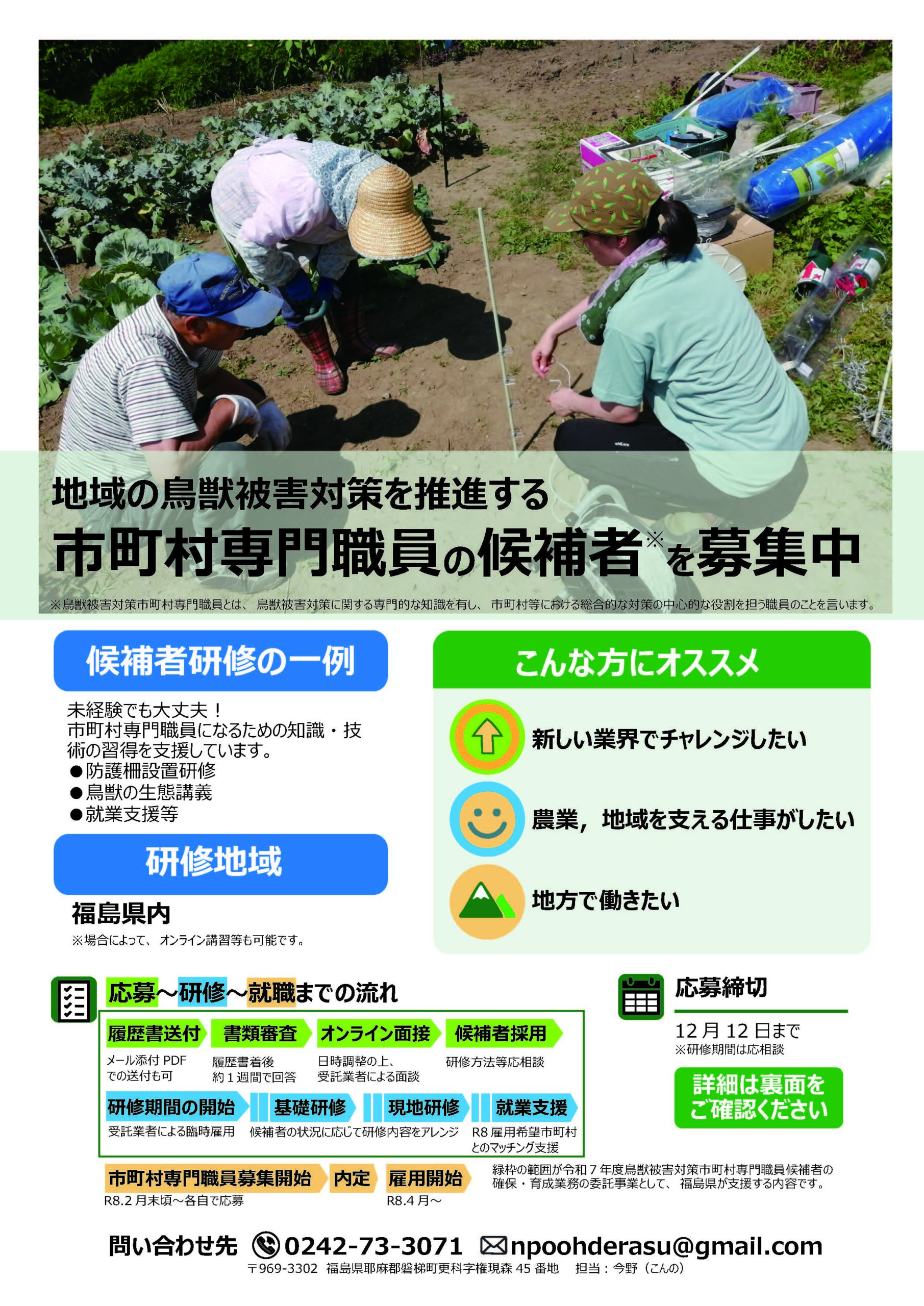 チラシ